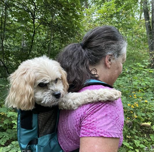 Chewy clearance dog backpack