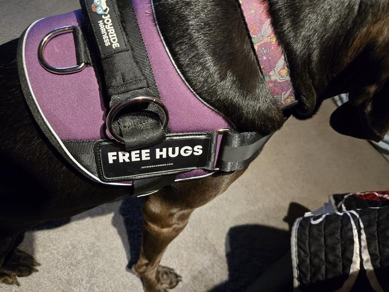 These are inserts that come with harness