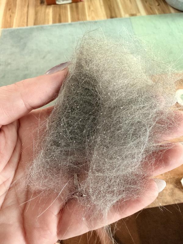 Before treats (brushed fur)