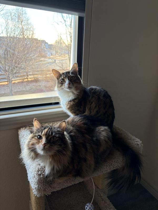 Usually they don’t both sit in there together - rare moment!