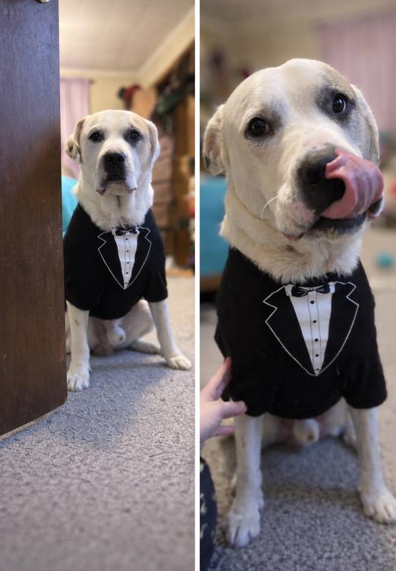 80lbs of Chunk in a XXL !