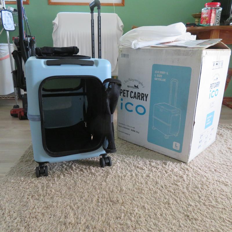 PETiCO PET CARRY ico スカイブルー×ホワイト 楽天市場】【17日10時迄