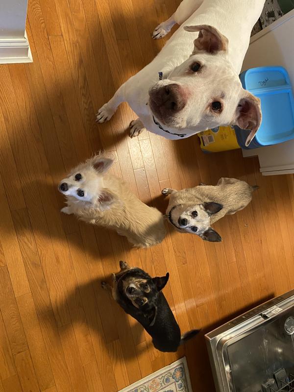 My crew anxiously awaiting this food!