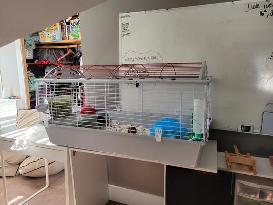 Living world hotsell rabbit cage