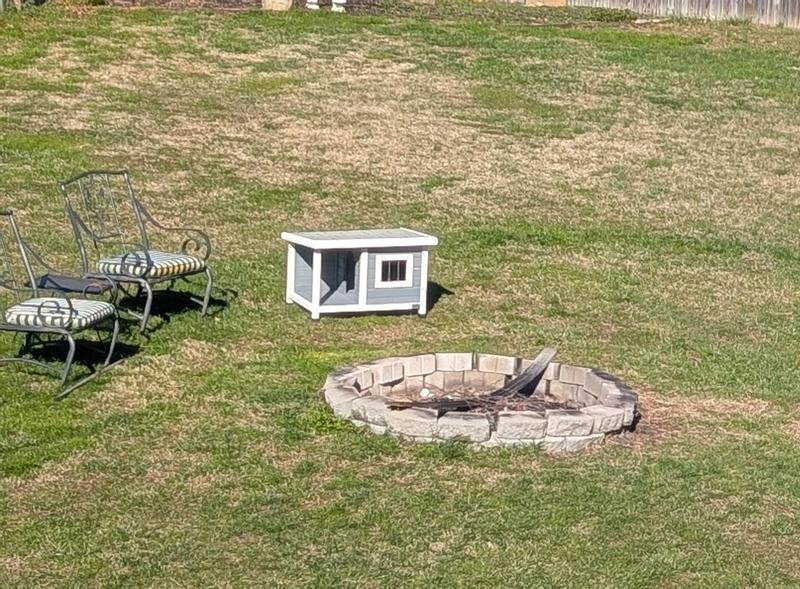 Great quality and fun for dog!