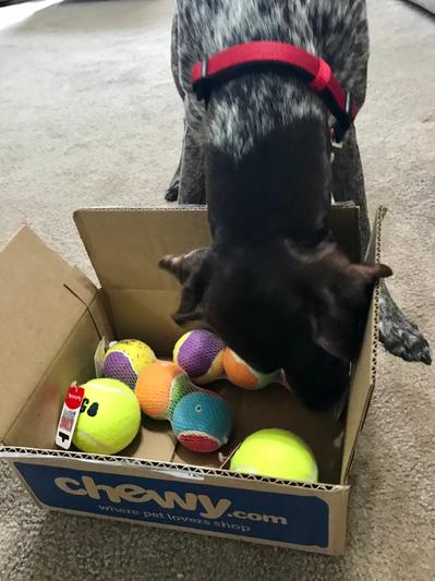 A special delivery made his day!