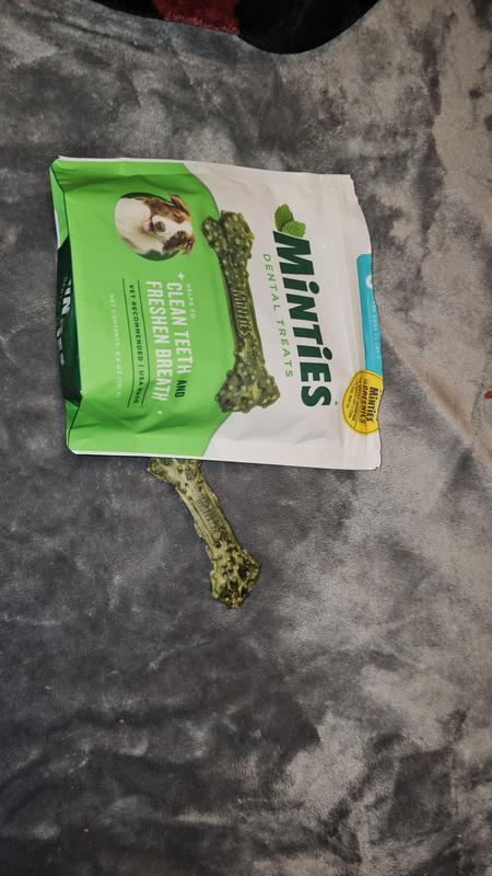 MINTIES Medium Mint Flavored Dental Treats for Dogs 25 50 lbs reviews Chewy