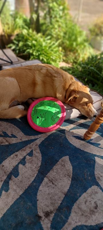 Booda frisbee outlet