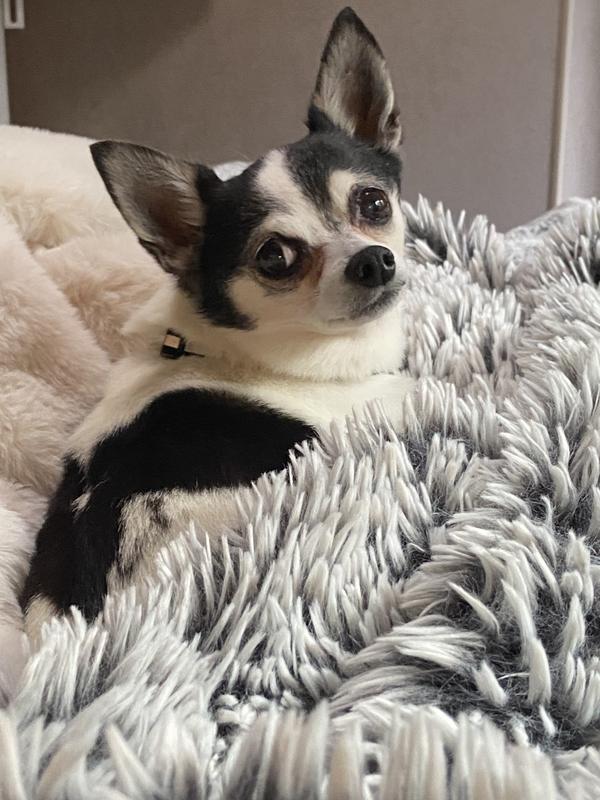 I think I just heard a bag opening!!!