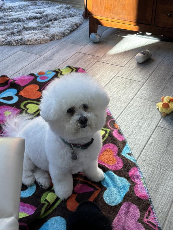 My hips are better and less itchy!!