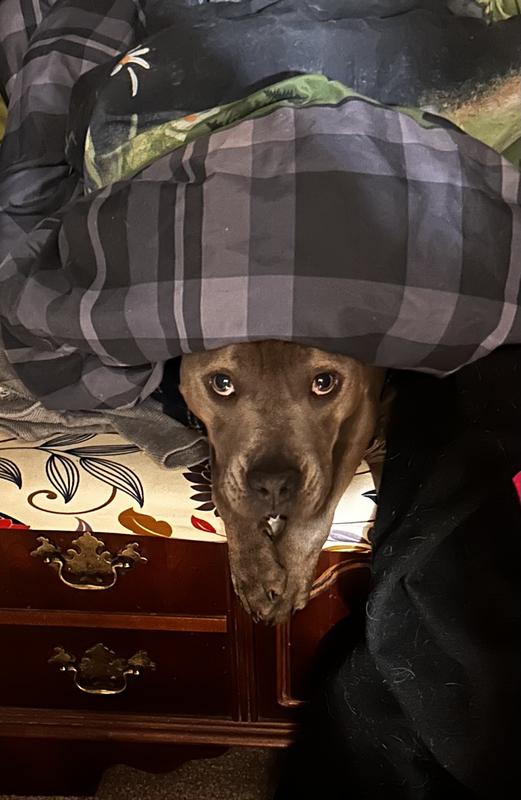 The birthday girls Trudie and Razzell.