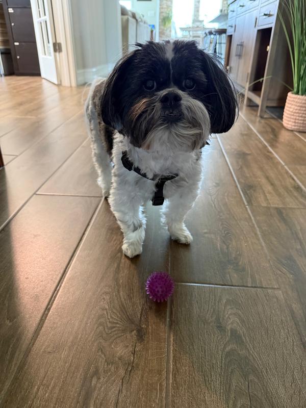 His favorite purple ball