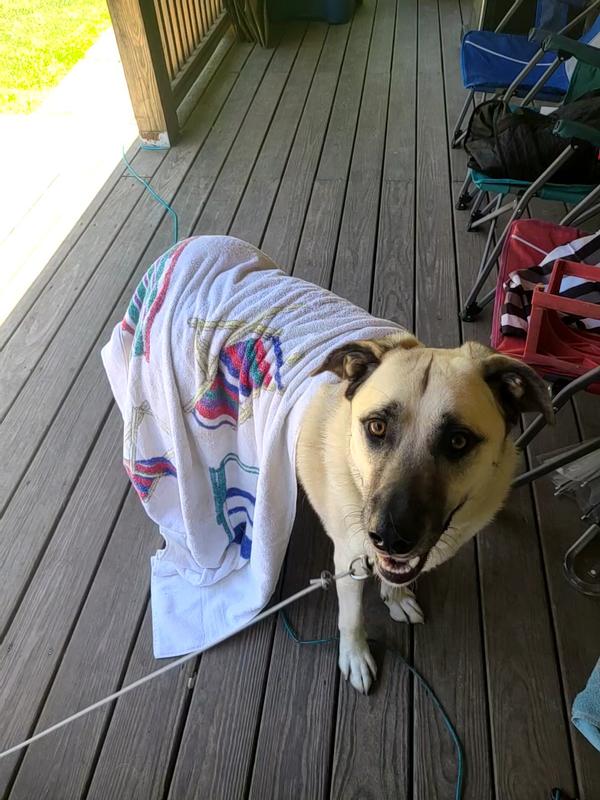 Being a jerk post-bath