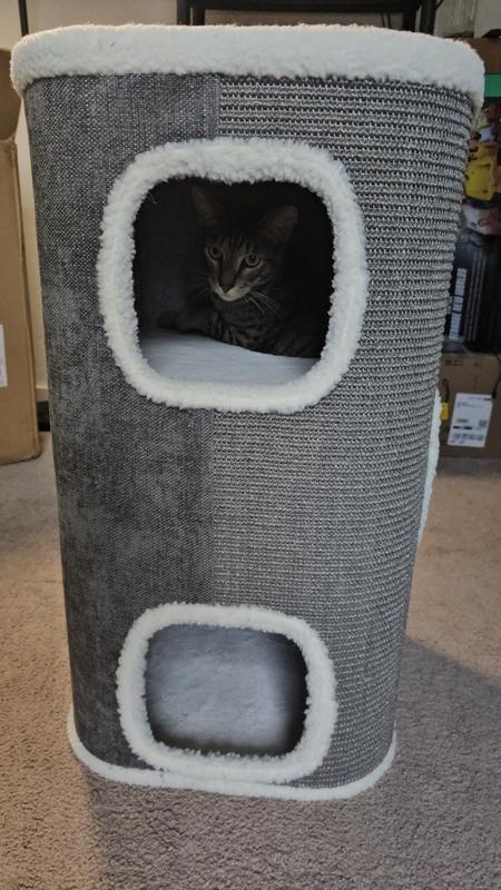He loves the multiple levels that are accessible inside