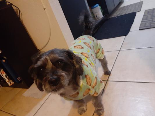 Cali in her new jammies
