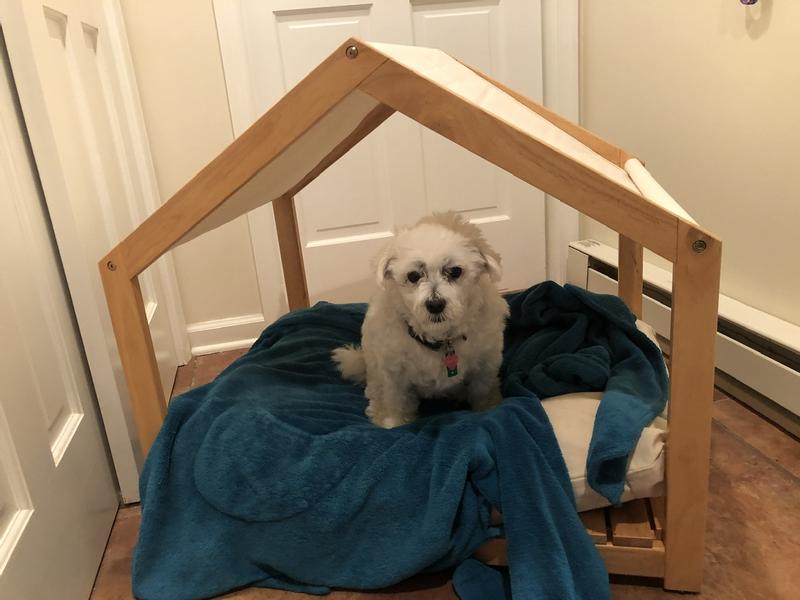 Added her blanket but still skeptical 🫤