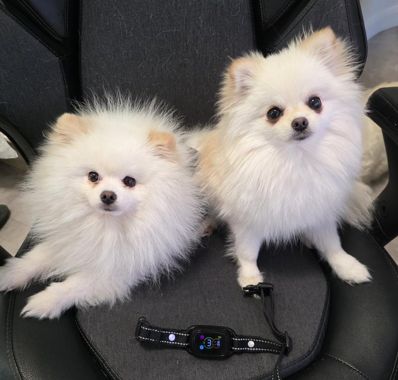 Less Barking