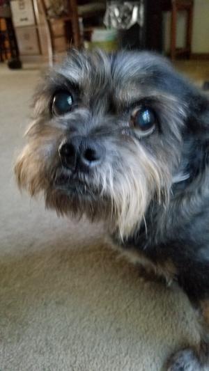 More Treats Please!!