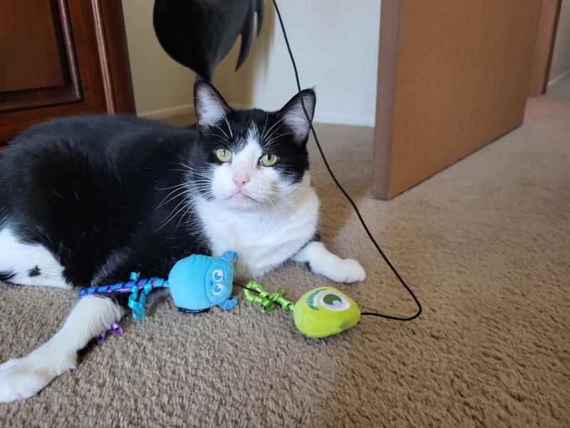 PIXAR Mike Wazowski & Sulley Teaser Cat Toy with Catnip - Chewy.com