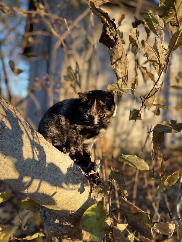 Baby Boo enjoying the outdoors!