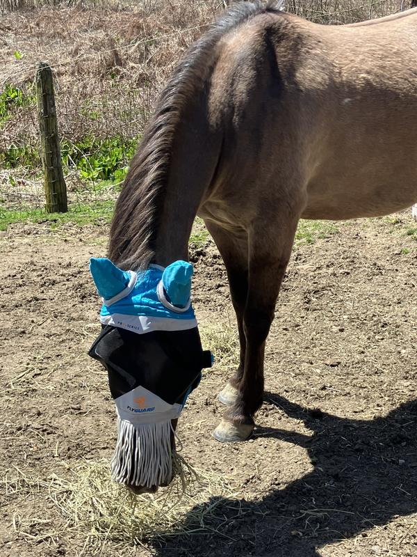 The cob mask fits great. Looks like it’s made well.