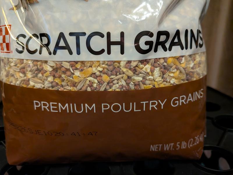 Purina Scratch Grains Poultry Feed, 50-lb bag - Chewy.com