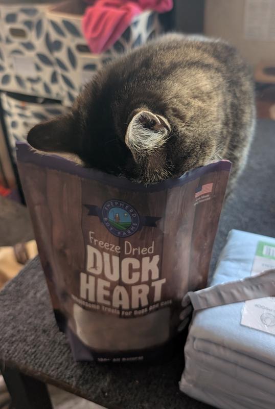 This was a constant every time the bag was set down