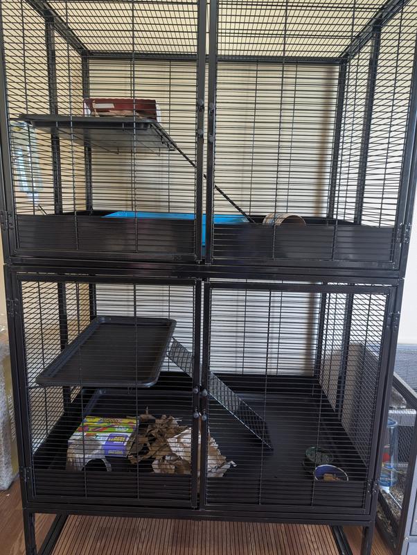 FRISCO Small Animal Cage, Two Story - Chewy.com