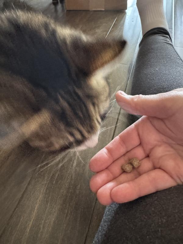 Yes, meowmy - thank you