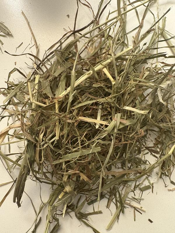 Bad batch purchased through Chewy.