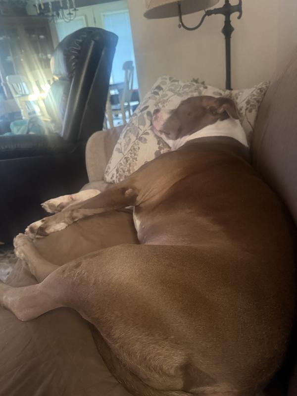 No worries for her!!!