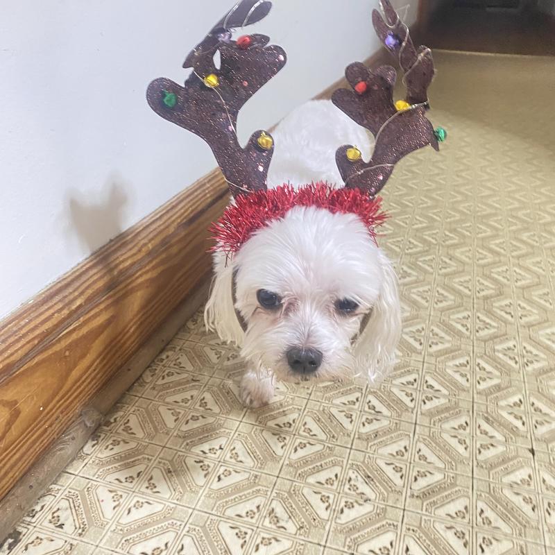 My baby is able to be home for Christmas!