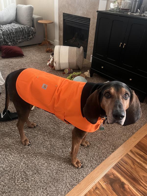 Carhartt dog chore coat orange hotsell