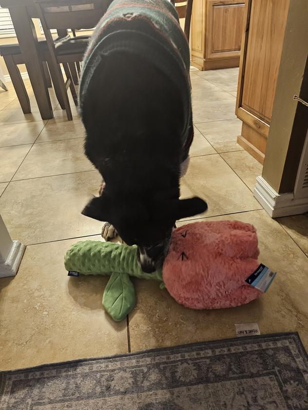 Great for L to XL dogs