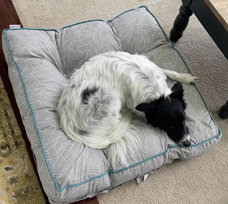 Frisco tufted lounger square hotsell dog bed