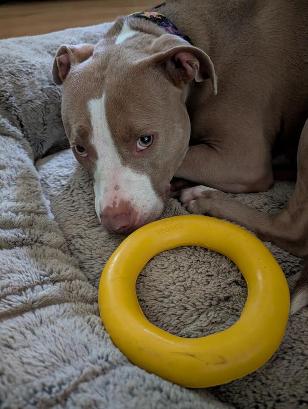 Super fun circle is always close by.