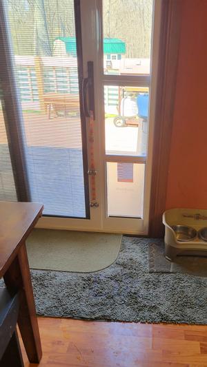 LG Dog Door