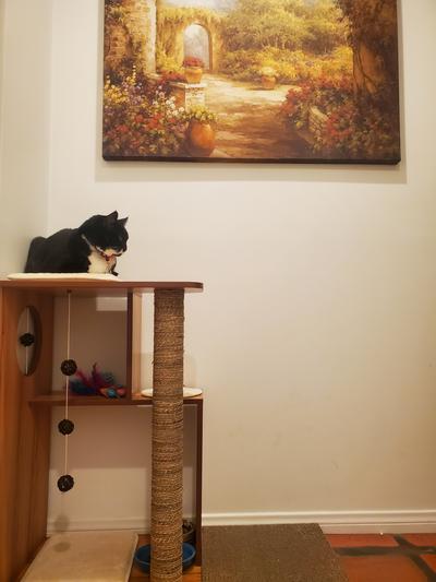 And she has a nice cushion to sit on at the bottom when she eats.