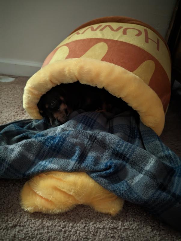 Peanut's sleeping in his Hunny Pot!