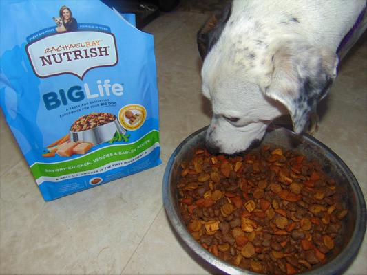 Rachael Ray Nutrish Big Life Dog Food 41 OFF