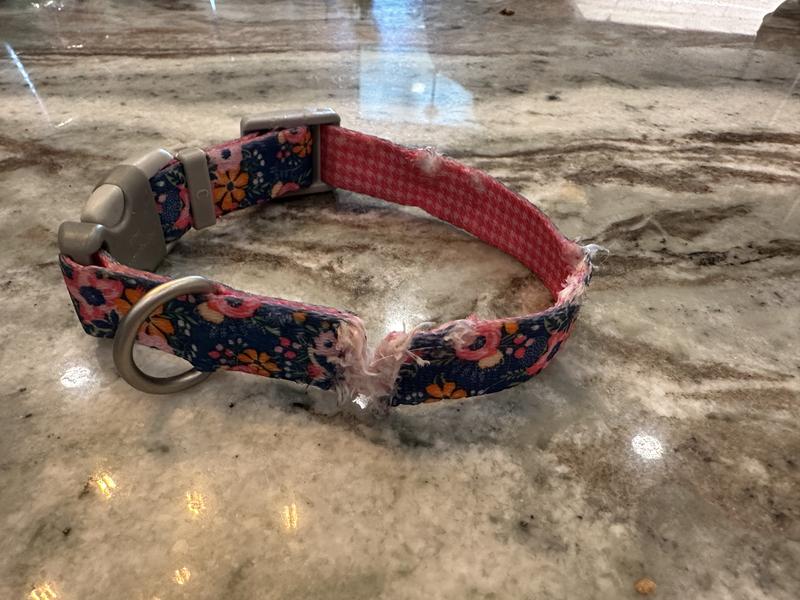 Coastal 1.5 Sublime Dog Collar Flower Purple and Yellow Large Buy, Best  Price. Global Shipping.