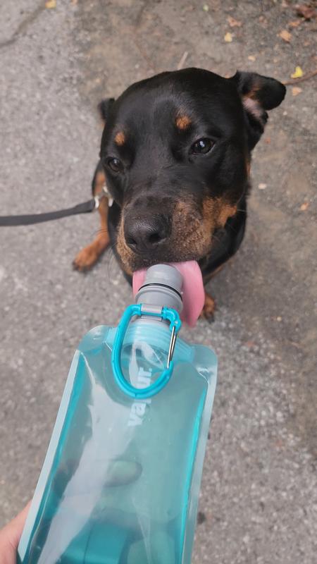 Took a long time to teach him to lick rather than touch.