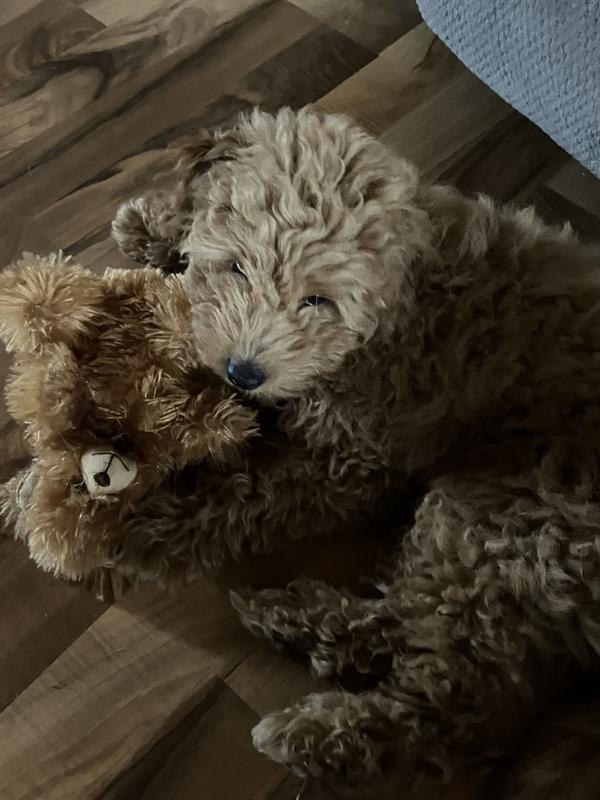 My best friend