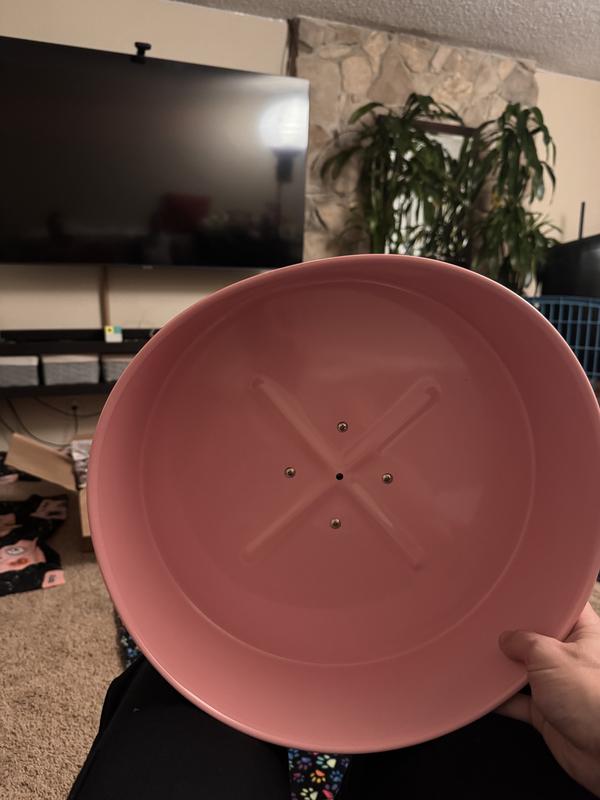 Fresh out of the box bent