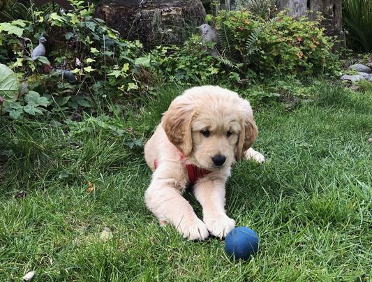 LiLy @ 7 weeks