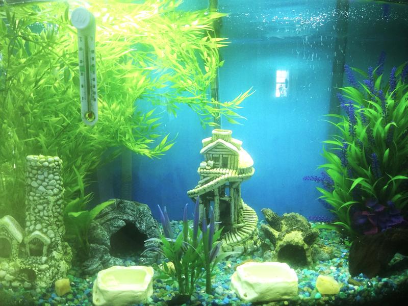 Bamboo fish tank decoration hotsell