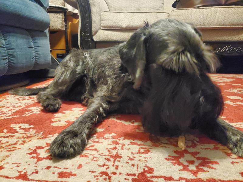 Just enough to chomp or take delicate nibbles