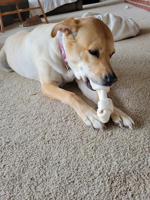 Loving her bones!