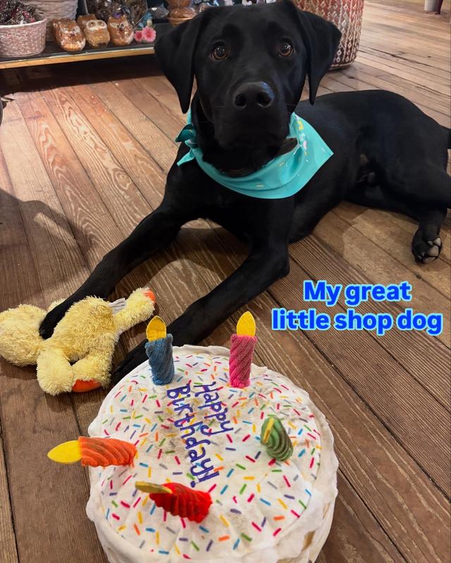 Adorable Birthday Toy!