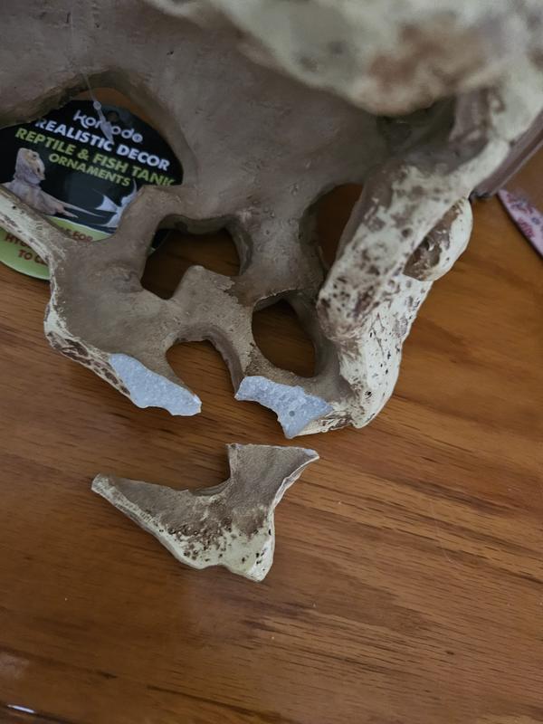 Arrived broken